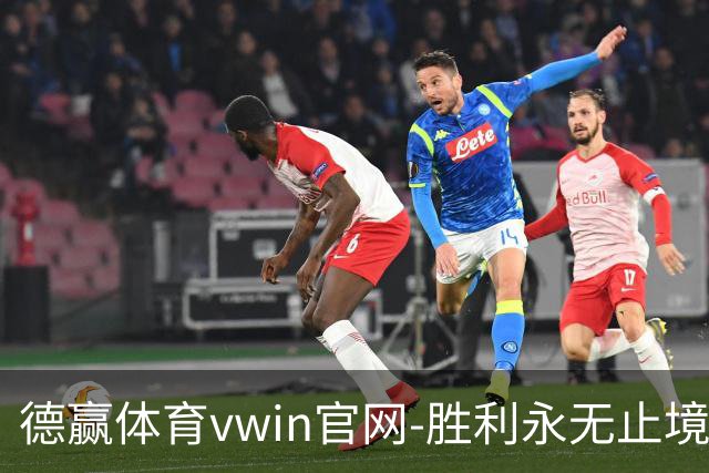 德赢体育vwin官网-胜利永无止境公司简介